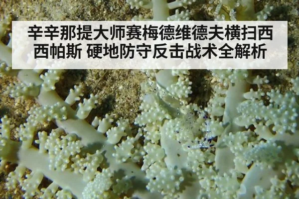 辛辛那提大师赛梅德维德夫横扫西西帕斯 硬地防守反击战术全解析