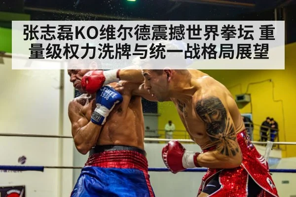 张志磊KO维尔德震撼世界拳坛 重量级权力洗牌与统一战格局展望