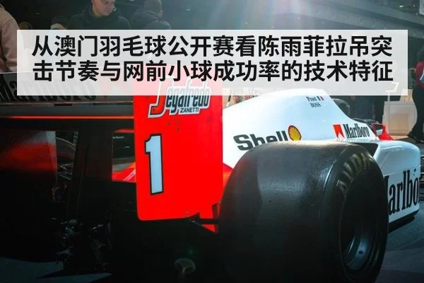 从澳门羽毛球公开赛看陈雨菲拉吊突击节奏与网前小球成功率的技术特征