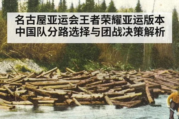 名古屋亚运会王者荣耀亚运版本中国队分路选择与团战决策解析